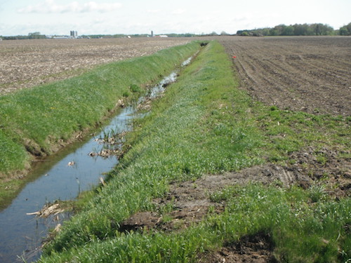 Projet collectif de gestion intégrée de l’eau par bassin versant en milieu agricole de la rivière du Bois Clair