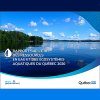 Quelques faits saillants du rapport sur l'état des ressources en eau et des écosystèmes aquatiques du Québec 2020