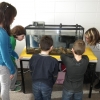 La CBJC fête les 10 ans de la Trousse éducative sur la biologie du saumon atlantique