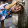 Mise en œuvre de la protection des sources d’eau potable : Portrait-diagnostic au Québec, Canada