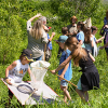 Deuxième édition du bioblitz organisé par l'OBV de la Capitale