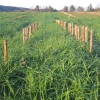 Agriclimat, des fermes adaptées pour le futur 