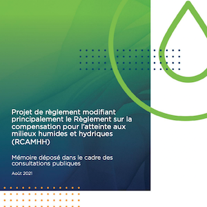 Mémoire sur le projet de loi modifiant le RCAMHH:  le ROBVQ défend le principe d’aucune perte nette