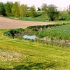 Des producteurs agricoles unis pour contrer l'érosion des terres : le projet collectif en milieu agricole de Saint-Damase