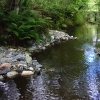 Plus d'omble de fontaine dans la rivière Cugnet grâce au travail du COBARIC