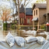 Agir en amont : un congrès provincial sur la gestion des risques d'inondations