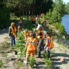 Plus de 430 000 arbres distribués en 2012!