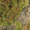 La problématique des embâcles de bois mort sur la rivière Neigette prise en main par l'OBVNEBSL et ses partenaires