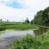 Le projet collectif agricole de la rivière Pot-au-Beurre : une seconde phase qui s'articule autour de la cohabitation des usages agricoles et fauniques