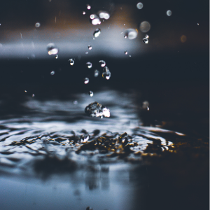 Collaboration entre le ROBVQ et le milieu universitaire pour la gestion durable des eaux pluviales