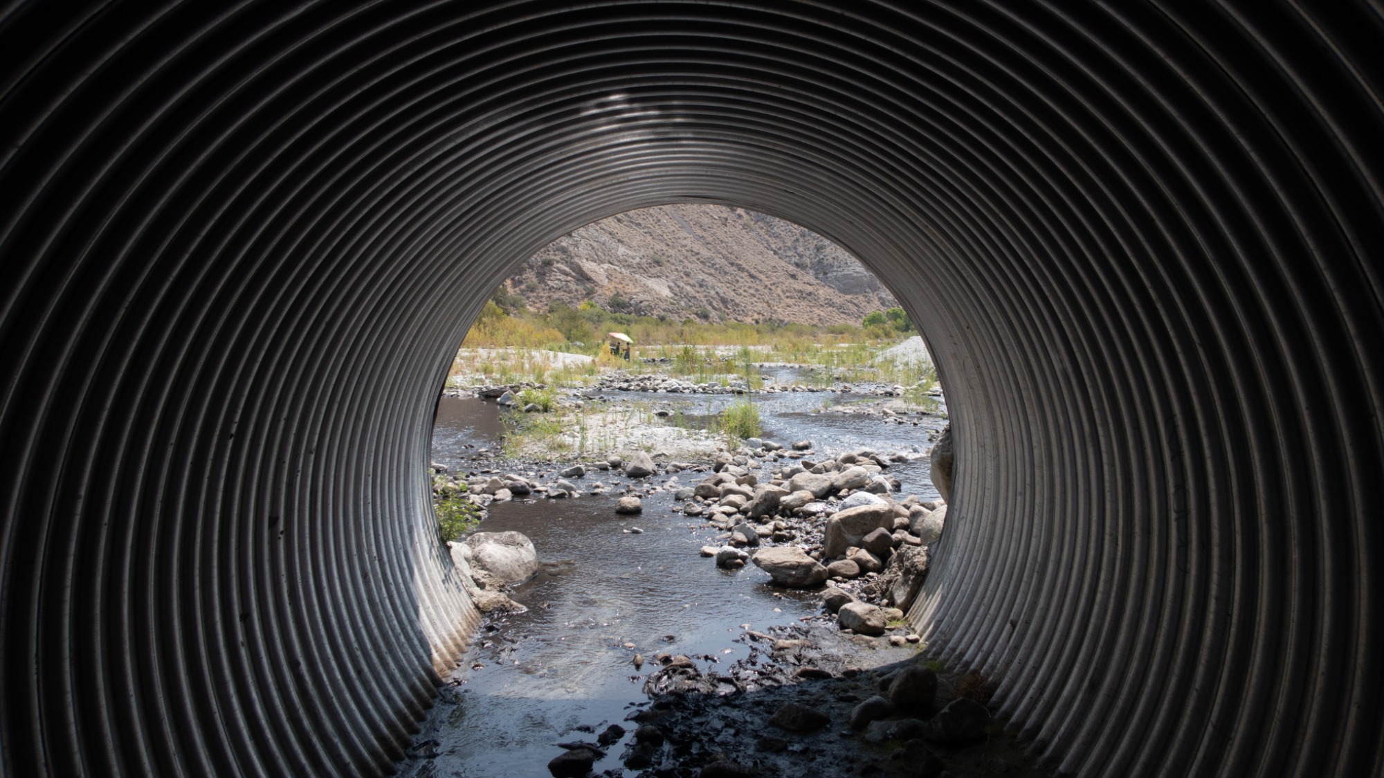 Un nouveau rendez-vous pour les spécialistes en environnement