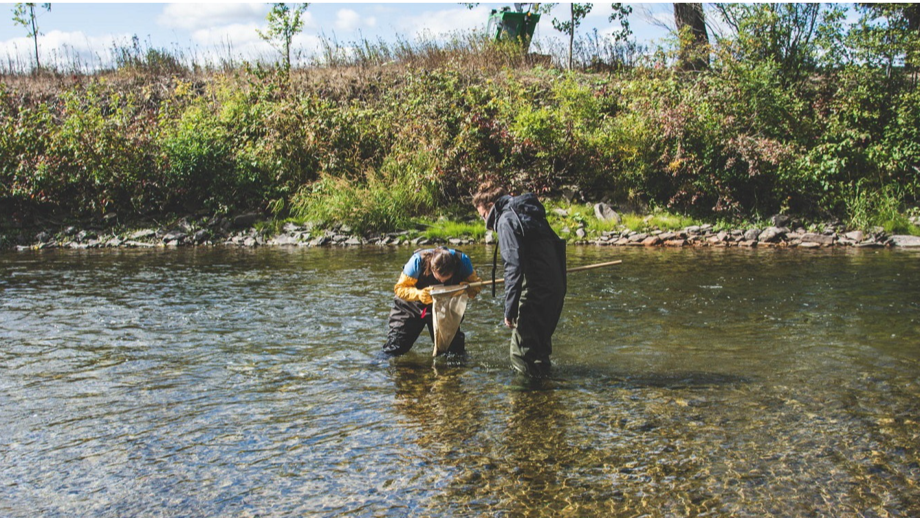 Projet de guide d’accompagnement : bioindicateurs et science citoyenne pour les plans d'adaptation aux changements climatiques