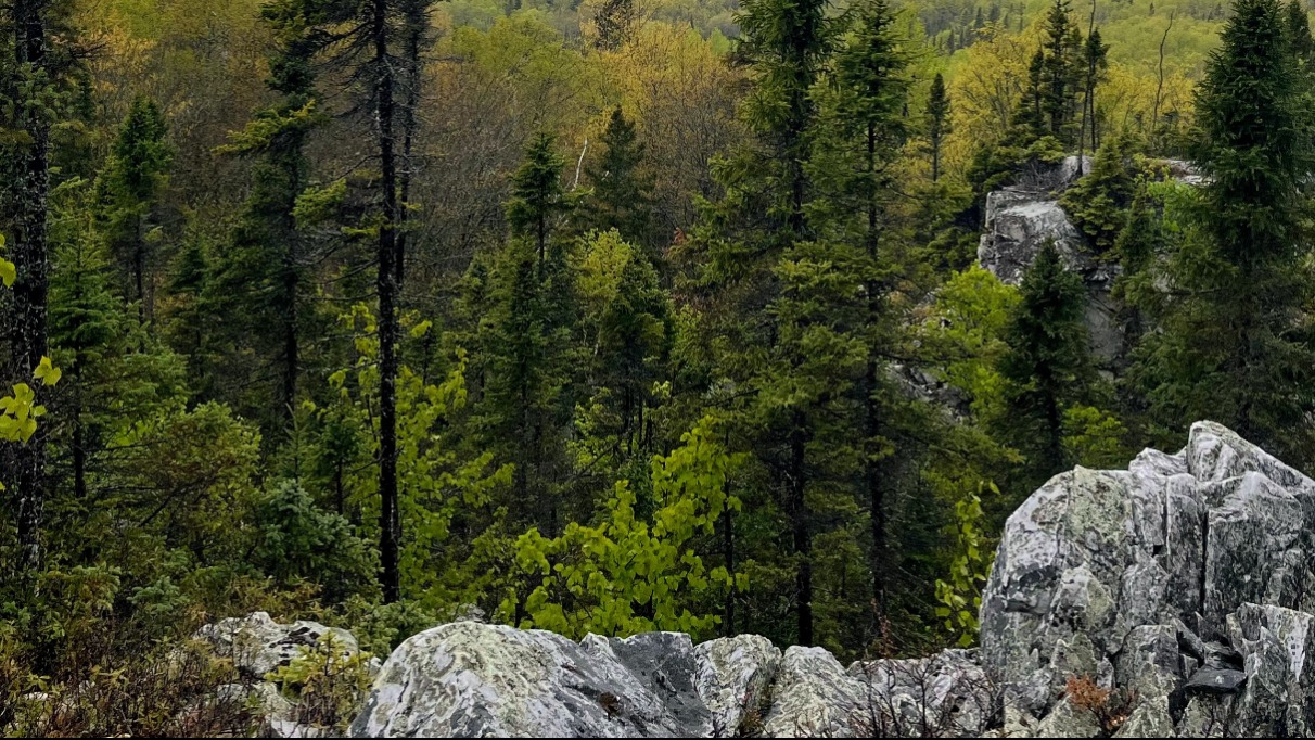 Un premier bilan des AMCE au Québec : Entrevue avec Simon L’Allier, Nature Québec