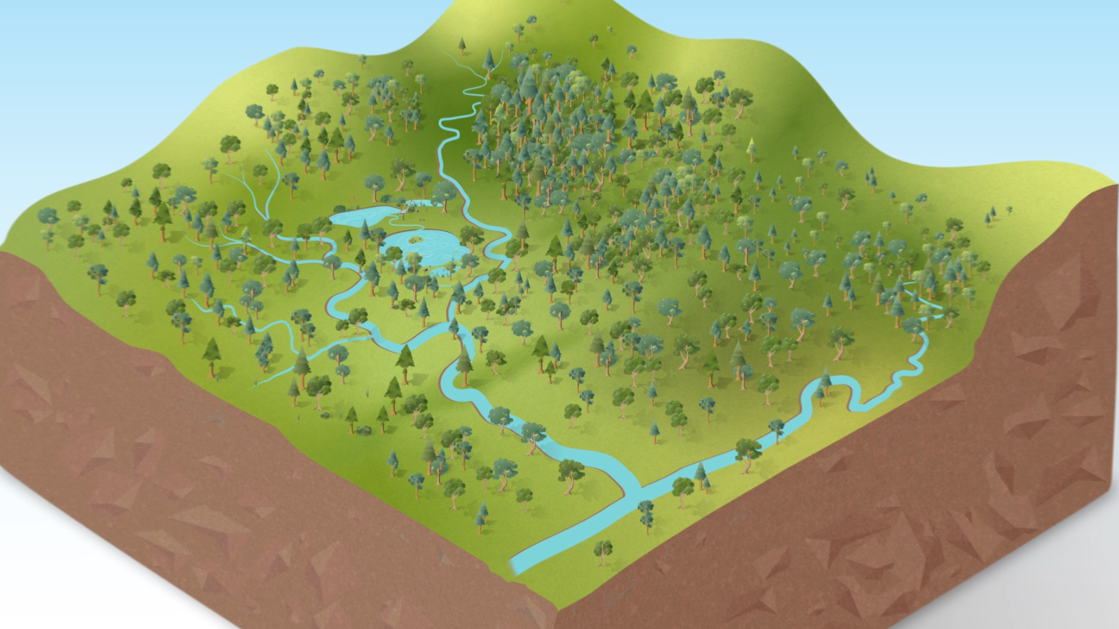 Une vidéo pour démystifier la dynamique naturelle des cours d’eau