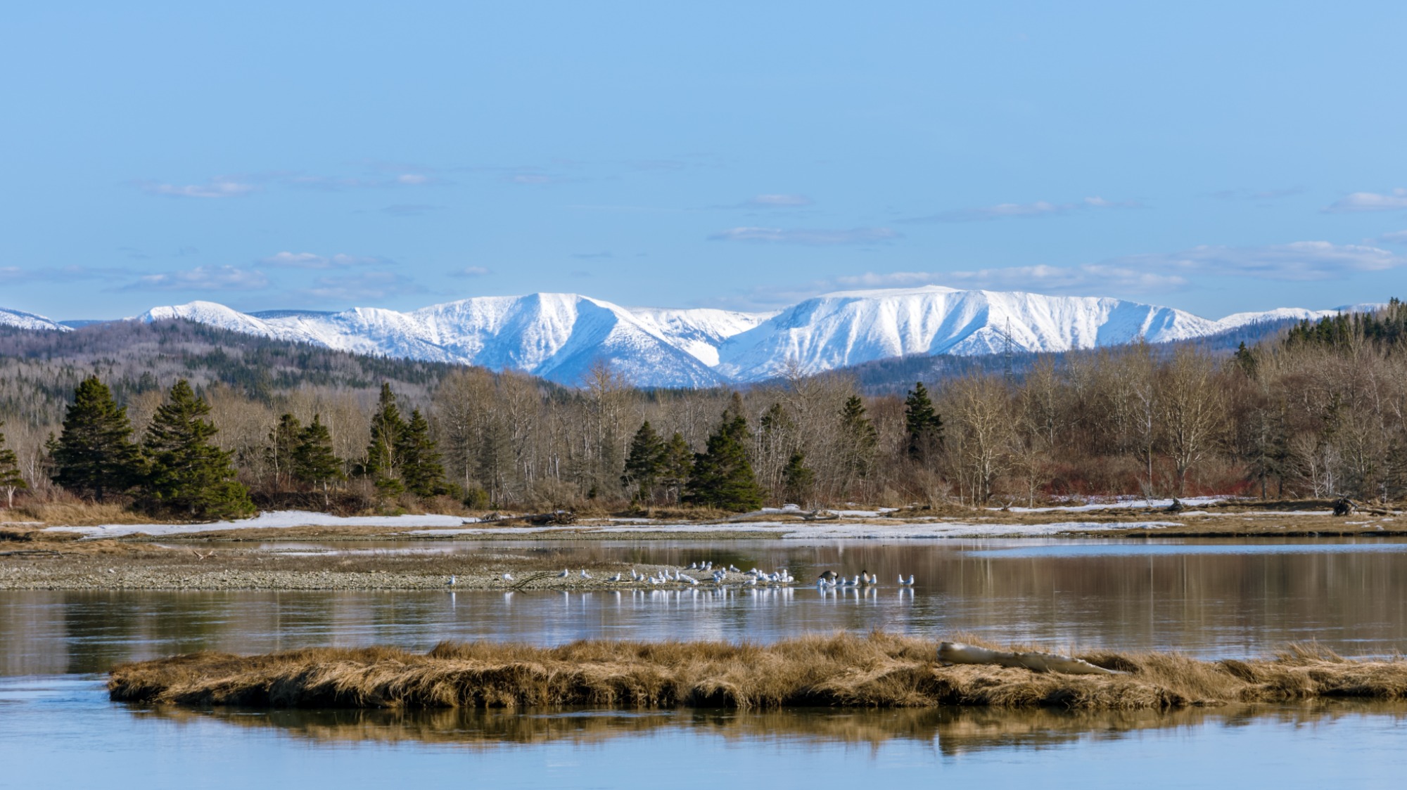 Baie de Cap-Chat (Gaspésie) au printemps